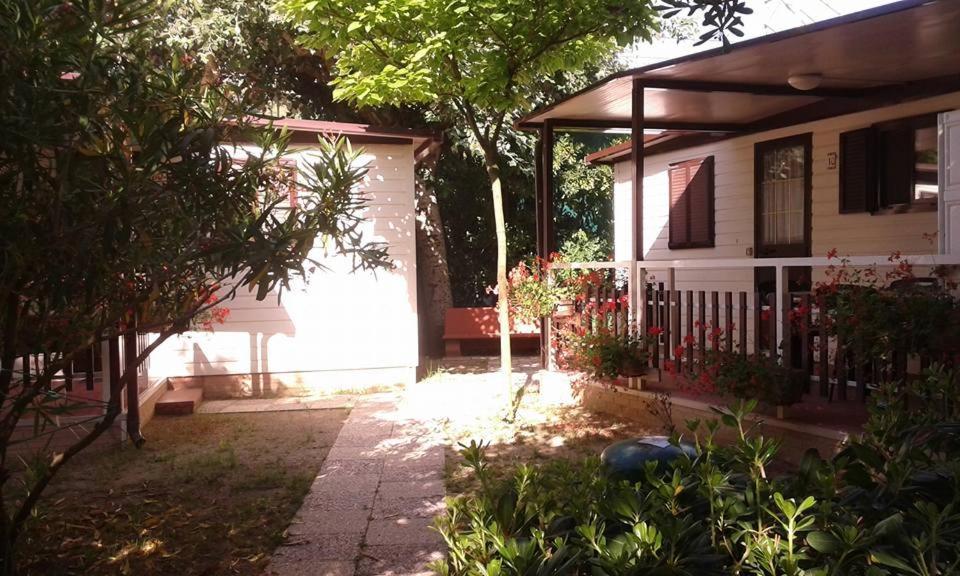 פינטו International Camping Torre Cerrano מראה חיצוני תמונה